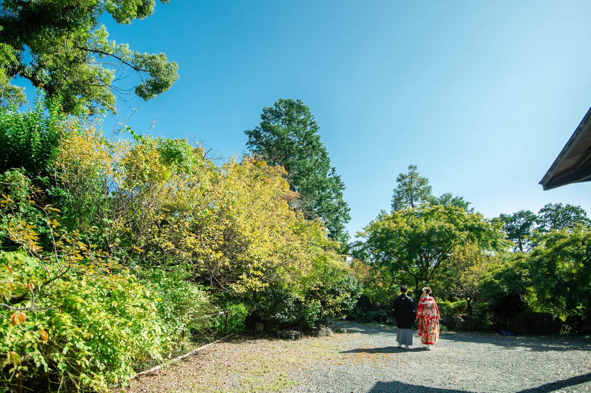 青空の下、緑豊かな神社で和装撮影