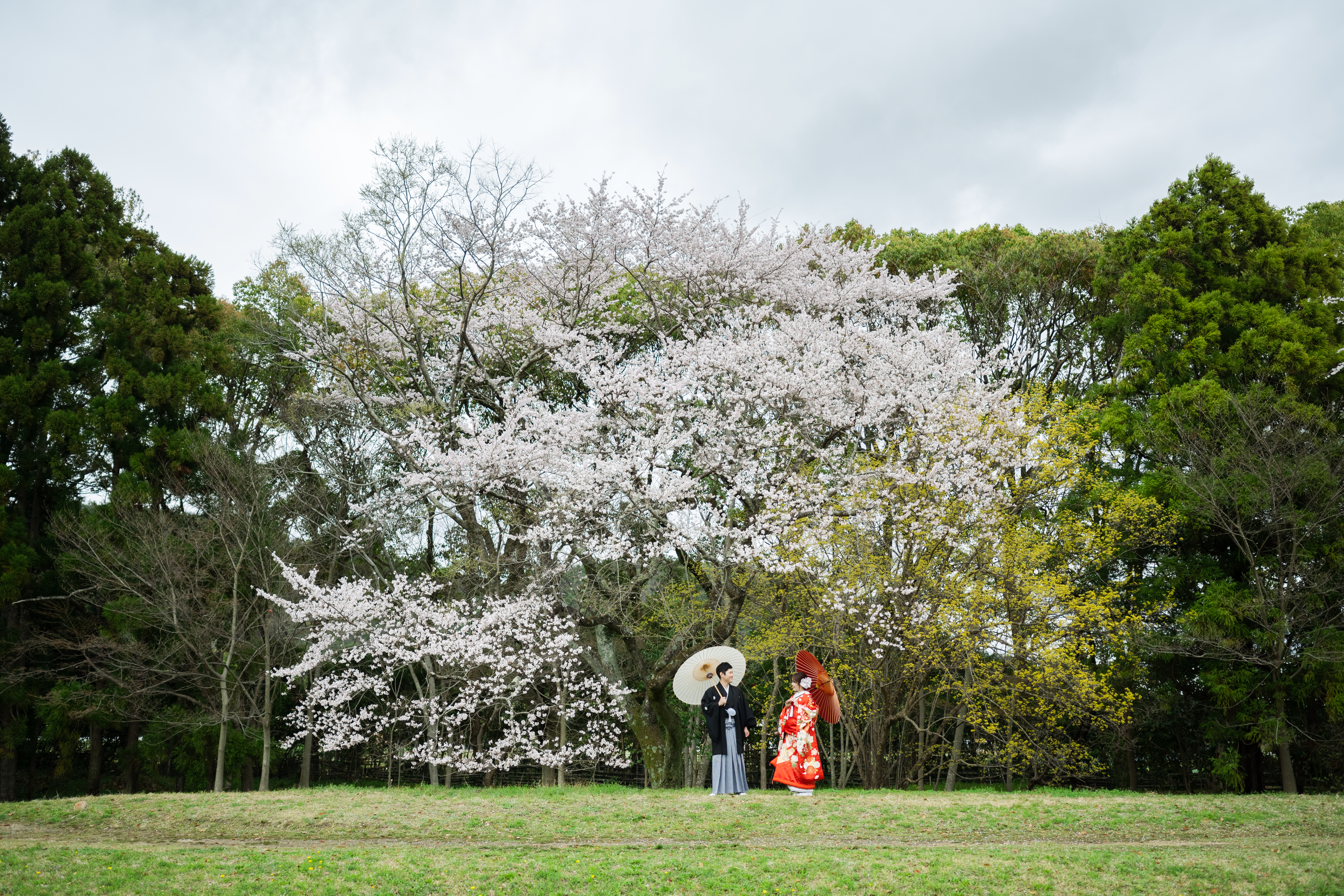 大覚寺