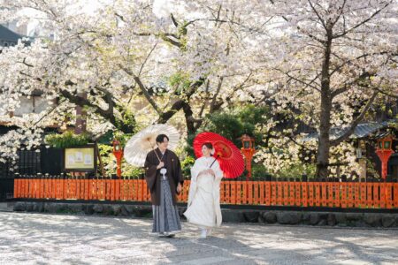 散り際の桜前撮り（祇園白川）