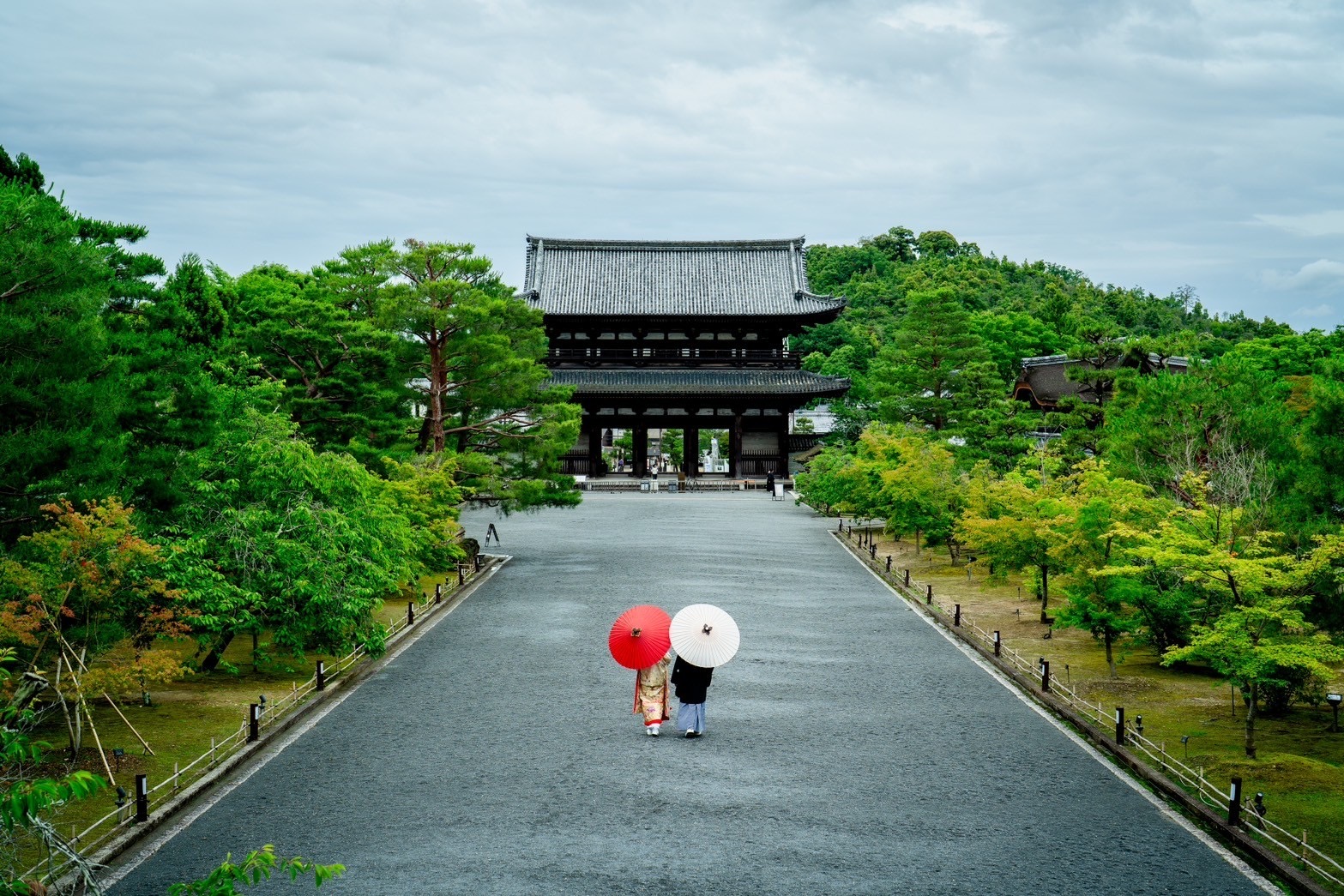 仁和寺前撮りのイメージ写真